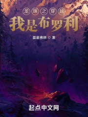 龙珠之穿越我是布罗利